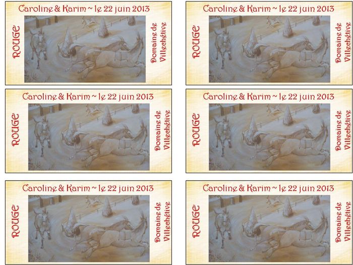 étiquettes pour les bouteilles de vin