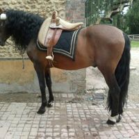 notre mariage le 22 juin 2013 - 4