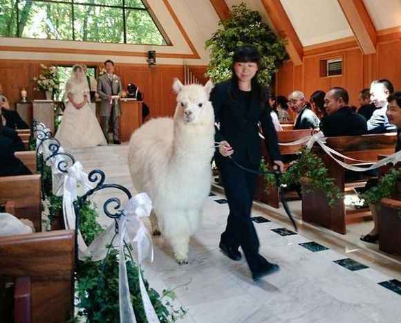 lama mariage