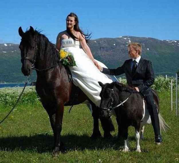 couple chevaux