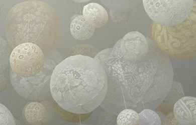bulles dentelles