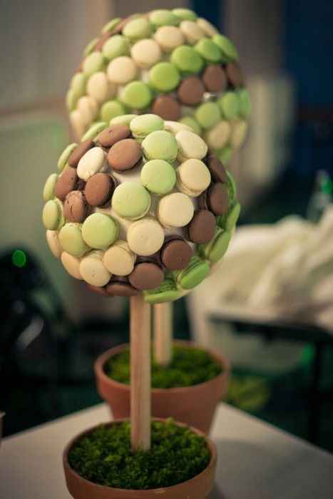 arbre macaron