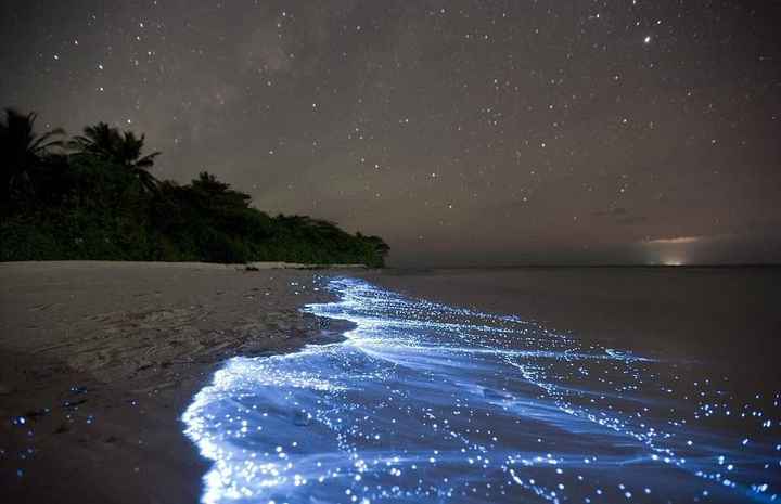 maldives