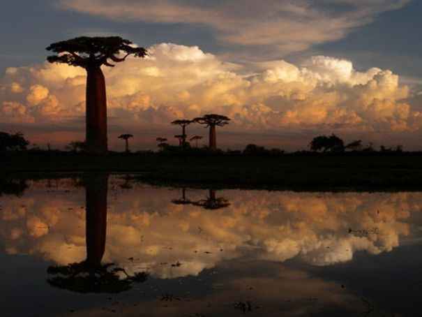 madagascar