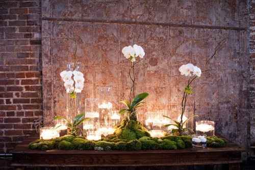 fleurs+ photophores
