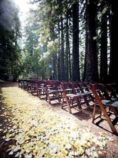 inspiration foret ceremonies -2