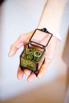 inspiration foret boite alliance