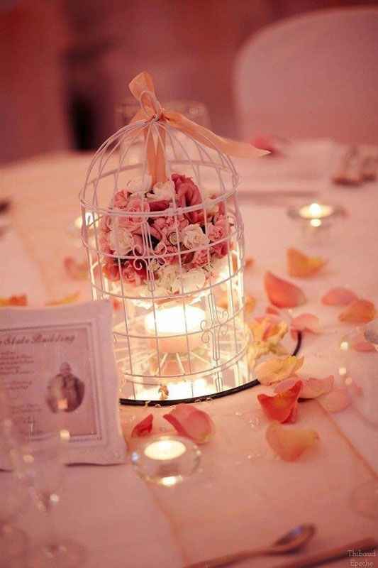 centre de table cage-2