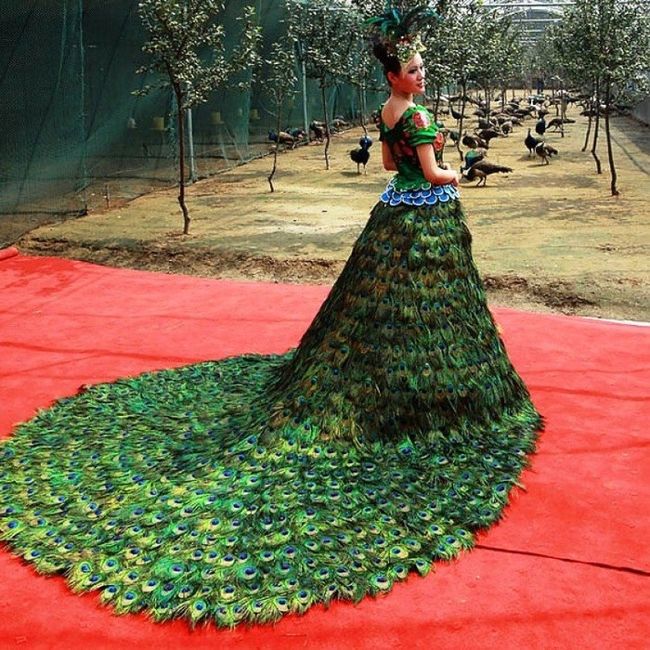 robe en plume de paon