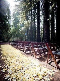 inspiration foret ceremonies -2
