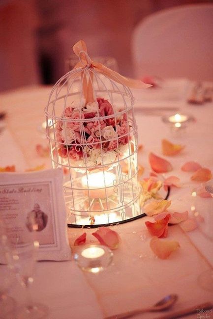 centre de table cage-2