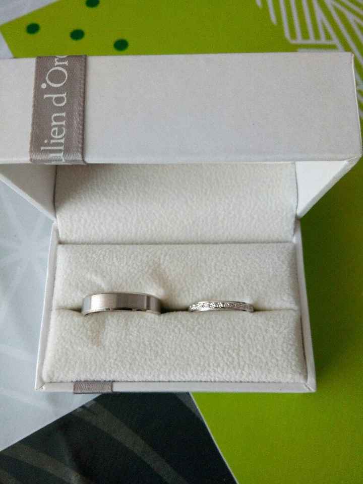  ça y est, on a nos alliances - 1