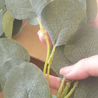 Tuto/ idée si comme moi vous n avez pas le droit aux feux de Bengale - 3