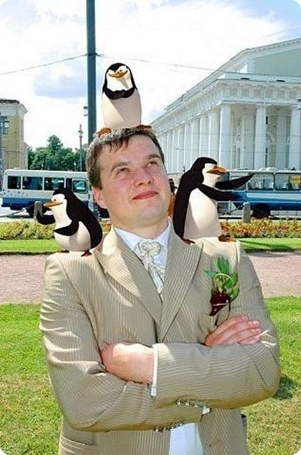 Tiens voilà un pingouin