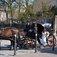 Nous nous sommes dit Oui🤗 - 1