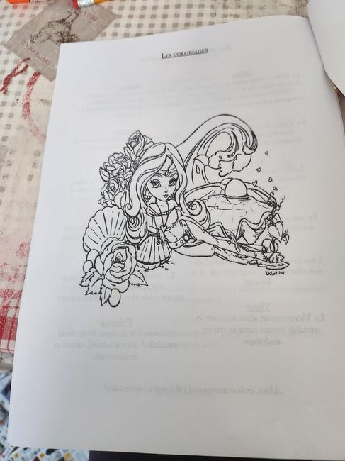 Mon journal de Mariage 8