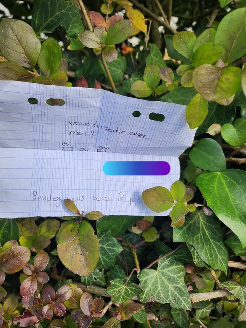 Petit mot adolescent 2