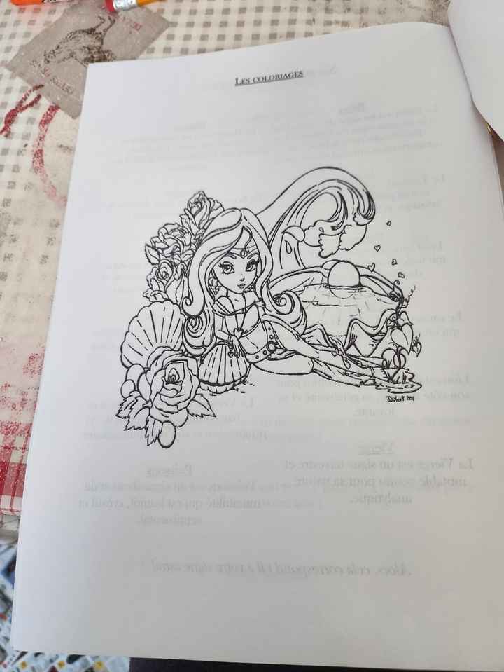 Mon journal de Mariage - 8