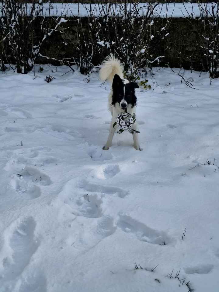 Quasi 3 ans après - mon "retour" (pour celles et ceux qui avaient suivi mon mariage ) - 1