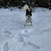 Quasi 3 ans après - mon "retour" (pour celles et ceux qui avaient suivi mon mariage ) - 1