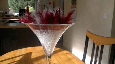 Essai billes d'eau   plumes/Vase