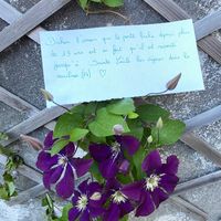Besoin de votre aide... Encore ! Love note - 1