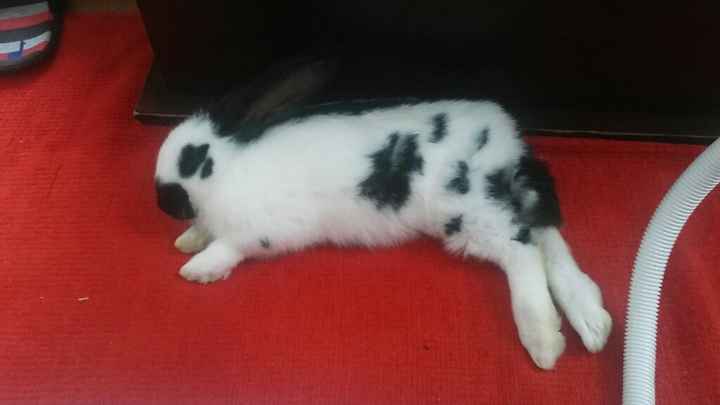 Une aide encombrante .. - 1