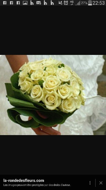 Bouquet rond vs bouquet cascade avis - 1