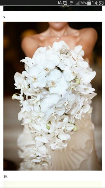 Bouquet rond vs bouquet cascade avis - 1