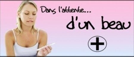 Dans l'attente d'un  