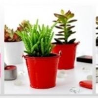 Cadeaux invités et Escord Card