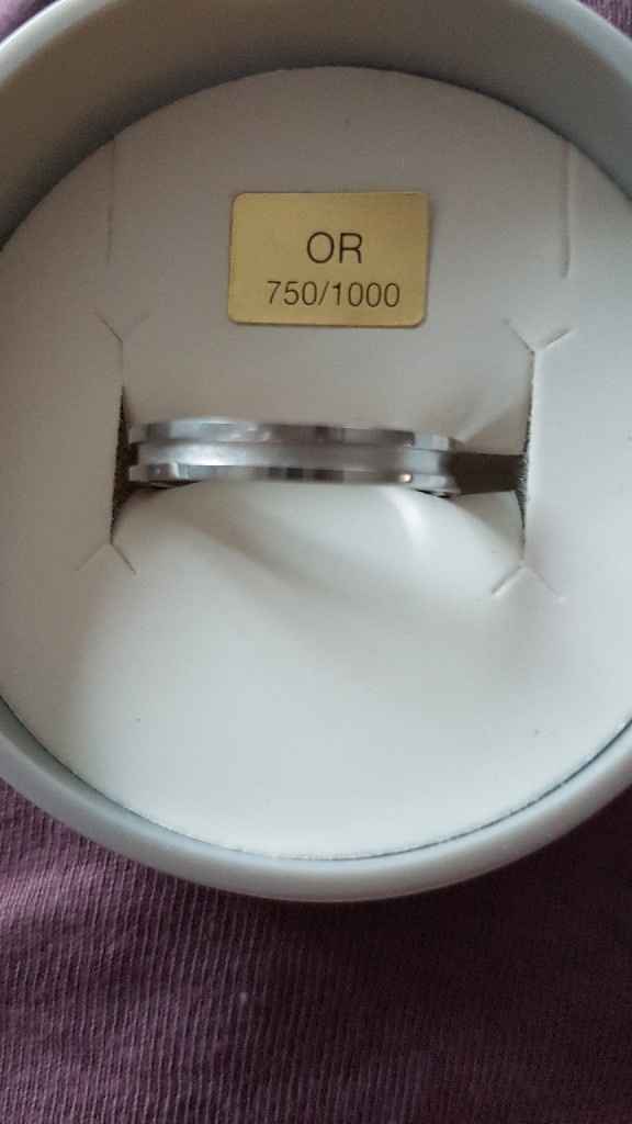 Nos alliances !!! - 4