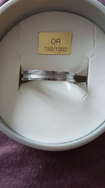 Nos alliances !!! - 4