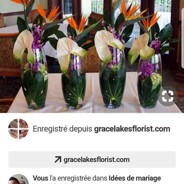 panique a bord !!!! - 1