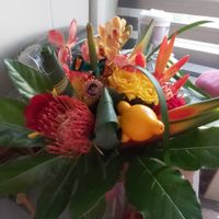 Une journée incroyable 🥰 - 1