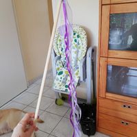 Appeler Mme V....... - 2