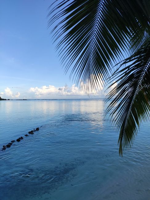 Notre merveilleux voyage de noces en Polynésie 😍 1