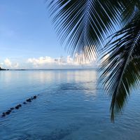 Notre merveilleux voyage de noces en Polynésie 😍 - 1