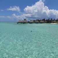 Notre merveilleux voyage de noces en Polynésie 😍 - 3