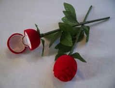 rose velours