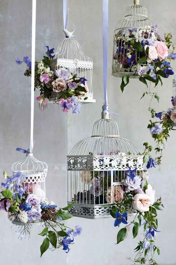 Cage à oiseaux
