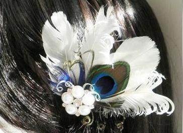 Barette ou broche