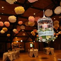 Le plus beau jour de notre vie ! - 6