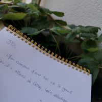 Love Note - 1