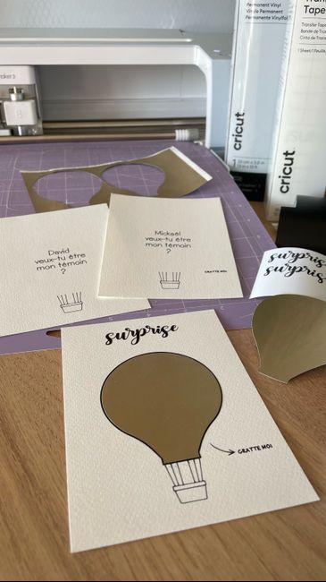 Cricut ou non ? 9