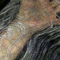 Recherche chemin de table argenté - 2