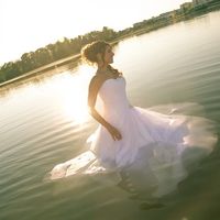 trash the dress