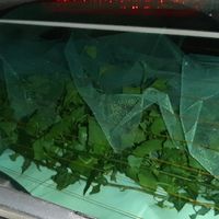 Décoration de la voiture des mariés - 4