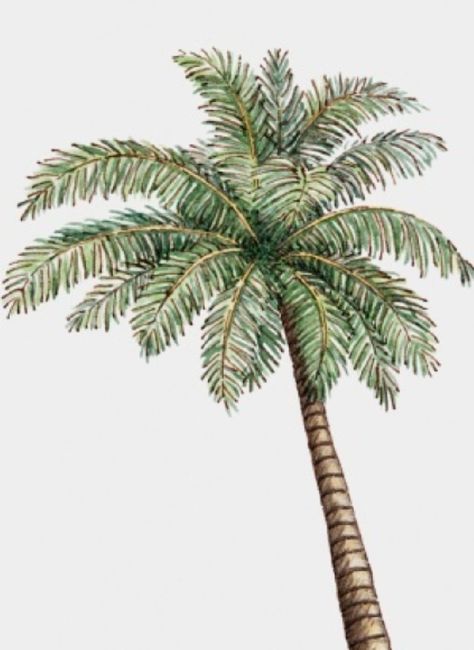 💋💋💋 besoin d'aide 💋💋💋💋 - 2