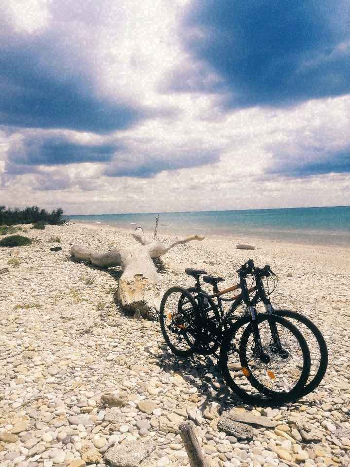 Quel est votre endroit favori pour une escapade en été ? - 1